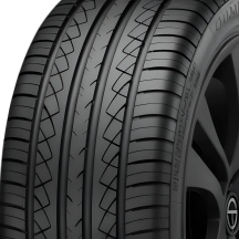 Brown bear - Vector graphics