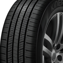 Mountain fox - Vector graphics